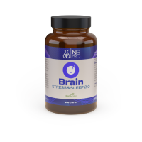 Brain Stress & Sleep 2.0