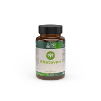 Shatavari